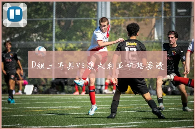 D组土耳其vs澳大利亚中路渗透