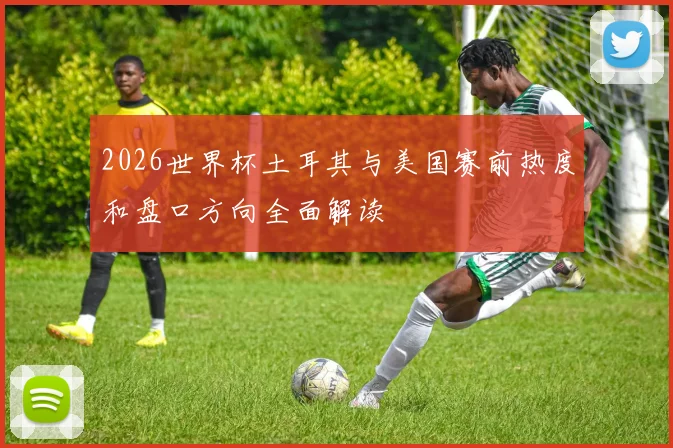 2026世界杯土耳其与美国赛前热度和盘口方向全面解读